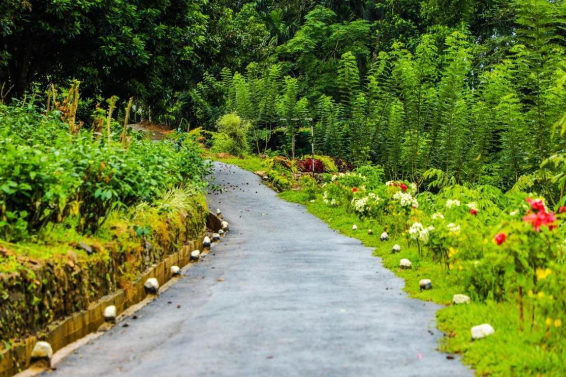 Bisso Village Estate Resort, Eheliyagoda Buitenkant foto